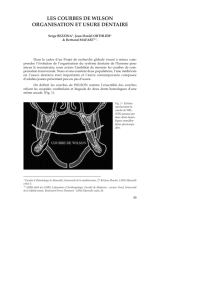 Les courbes de Wilson. Organisation et usure dentaire (PDF