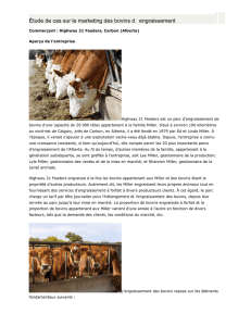 Étude de cas sur le marketing des bovins d engraissement