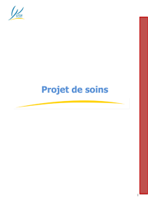 Projet de Soins - EPSM Lille Metropole
