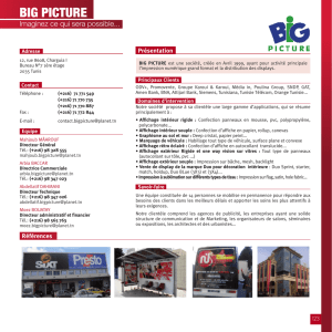 big picture - Pros de la com