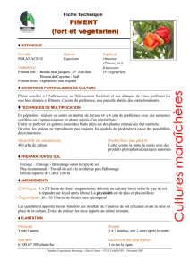 Piment 07 - Chambre d`Agriculture de Martinique