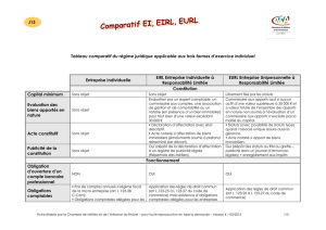 J13 Comparatif EI EIRL EURL - Chambre de métiers et de l`artisanat
