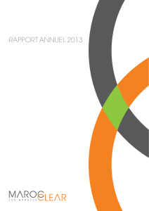 rapport annuel 2013