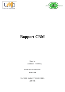 Rapport CRM - Marketing Industriel B to B