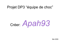 Apah93 - DSDEN 93