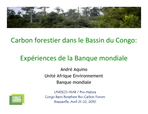 Carbon forestier dans le Bassin du Congo: Expériences de la Banque