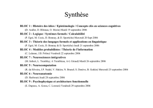 Presentation de synthèse (E. Dupoux)