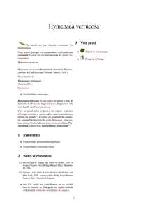 Hymenaea verrucosa - doc-developpement
