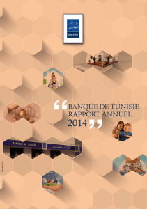 Rapport annuel exercice 2014 (v. française)