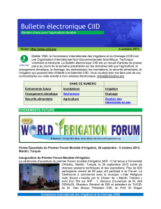 E-Bulletin du 4 octobre 2013