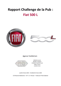 Rapport Challenge de la Pub : Fiat 500 L