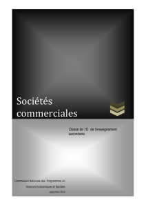 Economie de gestion : Sociétés Commerciales