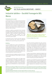 Industrie laitière — Société Fromagerie BEL Maroc
