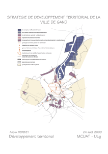 La stratégie de développement territorial de la ville de - LEMA