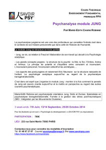 Psychanalyse module JUNG