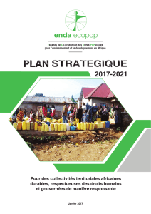 Télécharger le Plan Stratégique 2017-2021