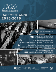 rapport annuel - Chambre de commerce et d`industrie Lac