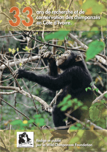 ans de recherche et de conservation des chimpanzés en Côte d`Ivoire.