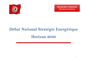 débat national sur la stratégie énergétique