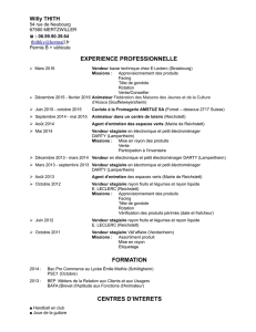 experience professionnelle formation centres d`interets