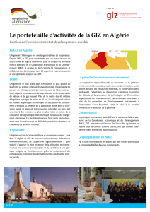 Le portefeuille d`activités de la GIZ en Algérie. Gestion de l