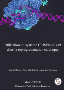 Utilisation du système CRISPR-dCas9 dans la reprogrammation