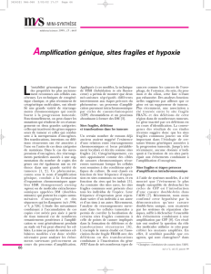 Amplification génique, sites fragiles et hypoxie - iPubli