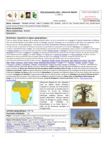 1 Fiche présentation arbre : Adansonia digitata Statut IUCN (IUCN 2.3)