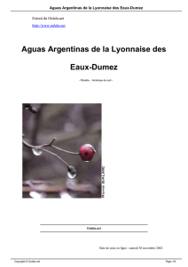 Aguas Argentinas de la Lyonnaise des Eaux-Dumez