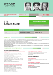 Télécharger la fiche BTS Assurance - Efficom