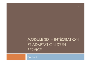MODULE SI7 – INTÉGRATION ET ADAPTATION D`UN SERVICE