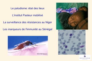 Le paludisme: état des lieux L`institut Pasteur mobilisé La