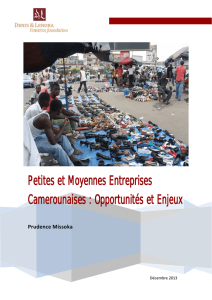 Petites et Moyennes Entreprises Camerounaises : Opportunités et
