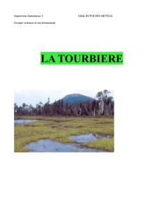 la tourbière ( PDF