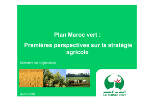 Plan Maroc vert - Transfert de Technologie en Agriculture