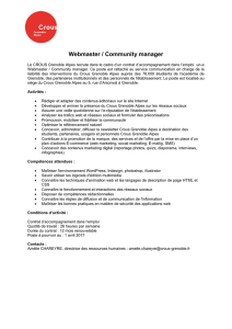 Webmaster / Community manager