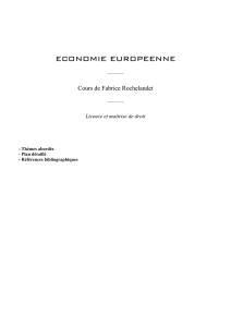 Plan du cours - Fabrice Rochelandet