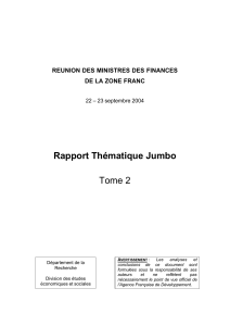 Rapport Thématique Jumbo Tome 2