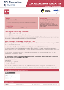 licence professionnelle cgci