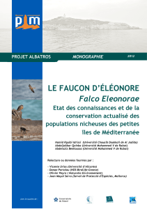 Falco Eleonorae_Final _French