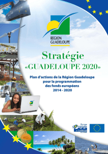 Stratégie Guadeloupe 2020