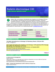 Bulletin électronique CIID