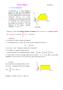 Calcul integral (PDF