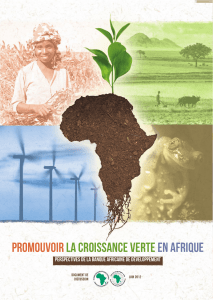 Faciliter la croissances verte en Afrique perspectives de la Banque
