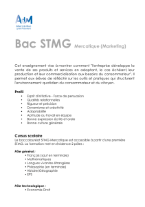 Bac STMG Mercatique (Marketing)