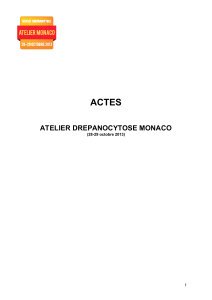 Actes atelier Monaco 2013