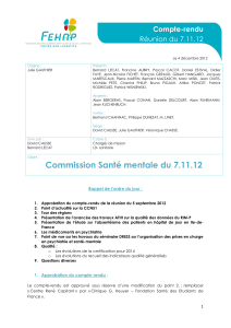 Commission Santé mentale du 7.11.12