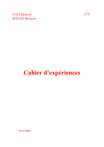 cahier d`experience.