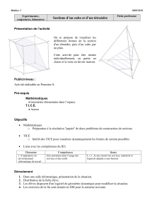 Fiche prof et eleve section tetraedre-cube