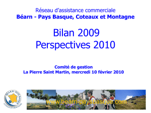 Comité de gestion La Pierre Saint Martin, mercredi 10 février 2010